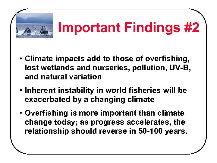 Important Findings #2 • Climate impacts add to those of overfishing, lost wetlands and