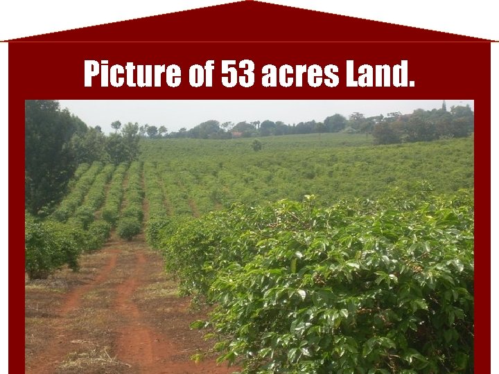Picture of 53 acres Land. 