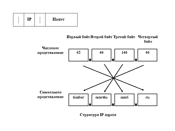 IP Пакет Первый байт Второй байт Третий байт Четвертый байт Числовое представление 62 46