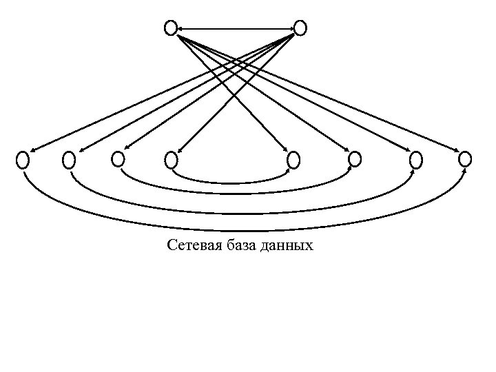 Сетевая база данных 
