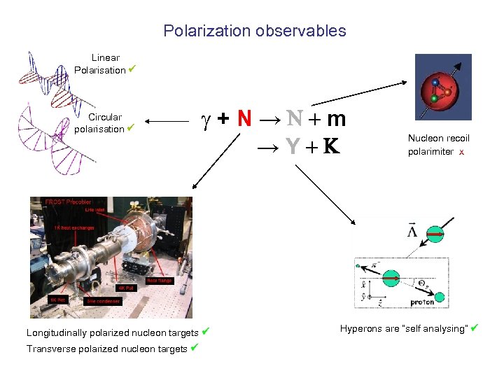 Polarization observables Linear Polarisation Circular polarisation g+N→N+m →Y+ Longitudinally polarized nucleon targets Transverse polarized