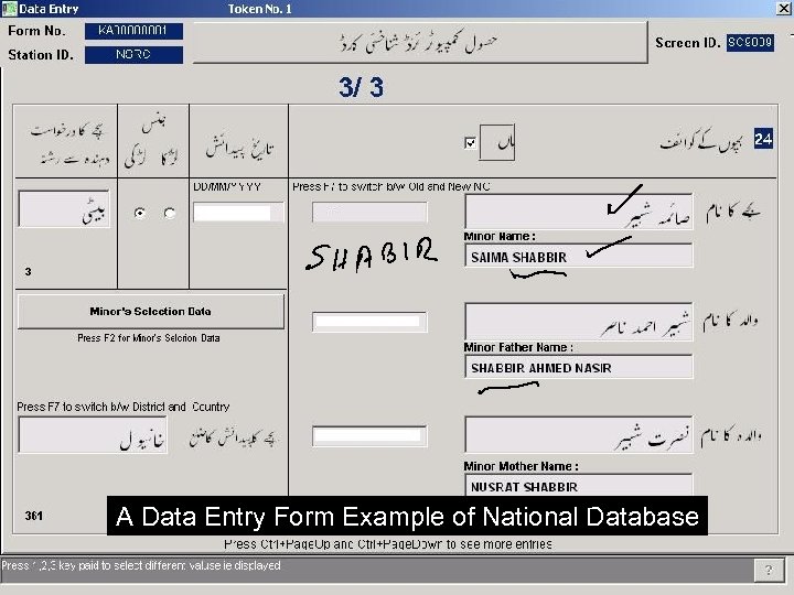 A Data Entry Form Example of National Database 