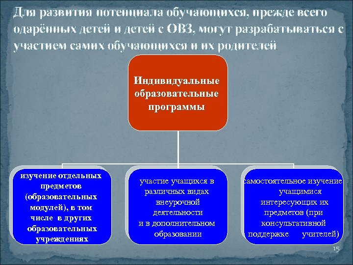 Для развития потенциала обучающихся, прежде всего одарённых детей и детей с ОВЗ, могут разрабатываться