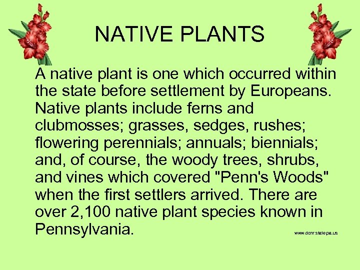 NATIVE PLANTS A native plant is one which occurred within the state before settlement