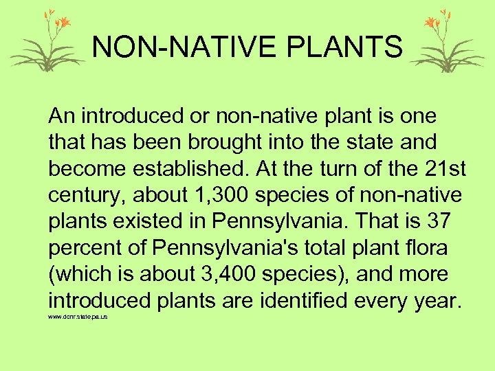 NON-NATIVE PLANTS An introduced or non-native plant is one that has been brought into