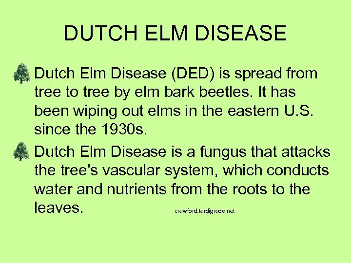 DUTCH ELM DISEASE Dutch Elm Disease (DED) is spread from tree to tree by