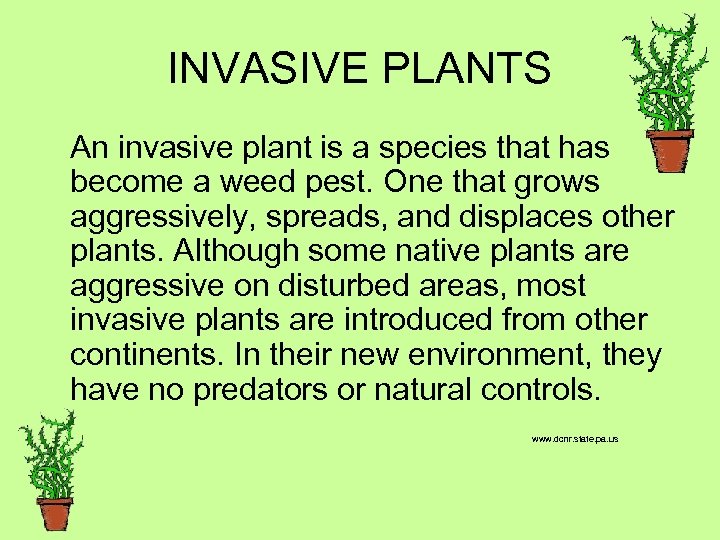 INVASIVE PLANTS An invasive plant is a species that has become a weed pest.