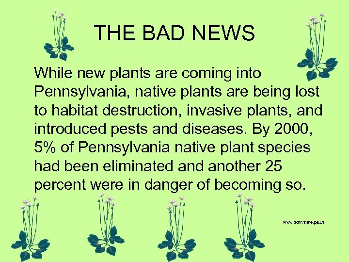 THE BAD NEWS While new plants are coming into Pennsylvania, native plants are being