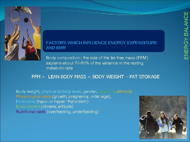 Body composition : the size of the fat-free mass (FFM) explains about 70 -80%