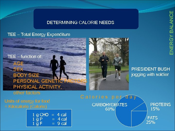 ENERGY BALANCE DETERMINING CALORIE NEEDS TEE – Total Energy Expenditure TEE – function of: