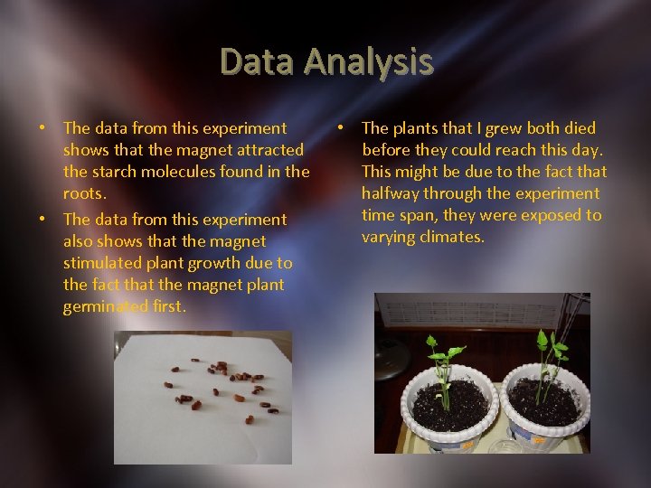 Data Analysis • The data from this experiment shows that the magnet attracted the