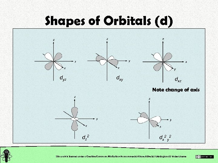 Shapes of Orbitals (d) dyz dxy dxz Note change of axis dz 2 dx