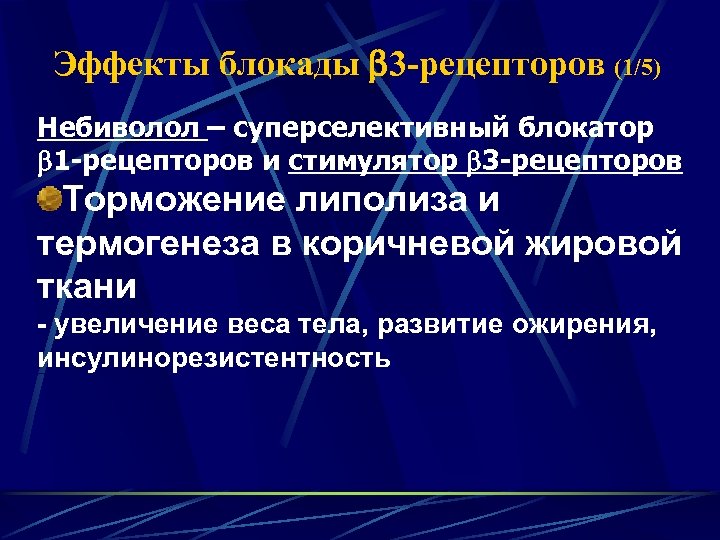 Эффекты блокады 3 -рецепторов (1/5) Небиволол – суперселективный блокатор 1 -рецепторов и стимулятор 3