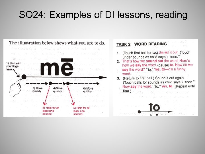 SO 24: Examples of DI lessons, reading 