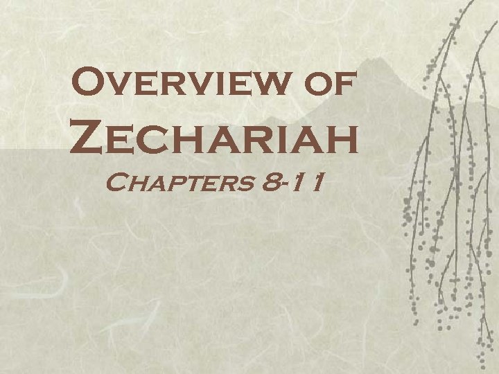 Overview of Zechariah Chapters 8 -11 