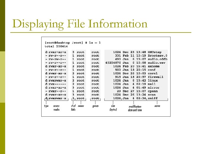 Displaying File Information 