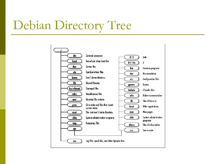 Debian Directory Tree 