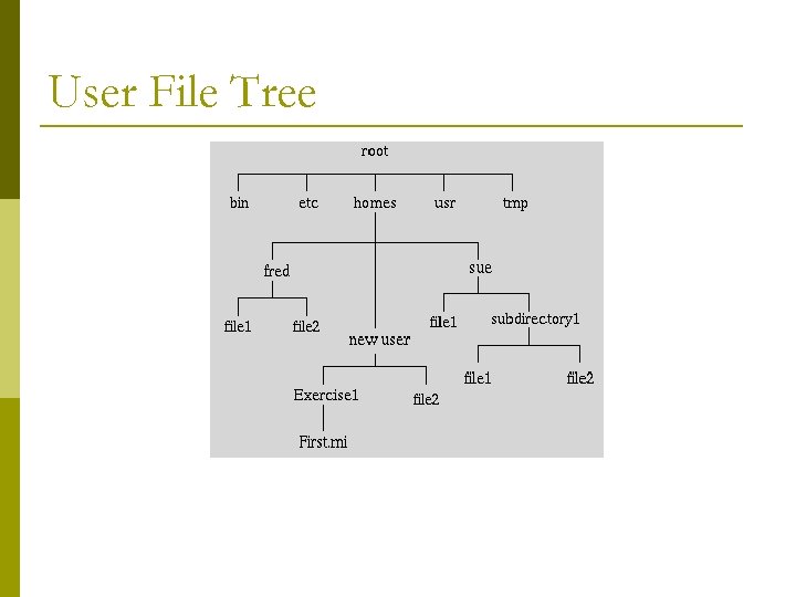 User File Tree 