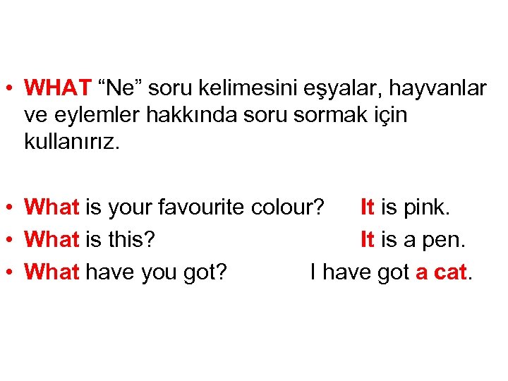  • WHAT “Ne” soru kelimesini eşyalar, hayvanlar ve eylemler hakkında soru sormak için