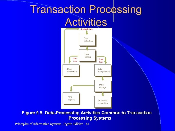 Transaction Processing Activities Figure 9. 5: Data-Processing Activities Common to Transaction Processing Systems Principles