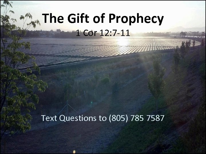 The Gift of Prophecy 1 Cor 12: 7 -11 Text Questions to (805) 785