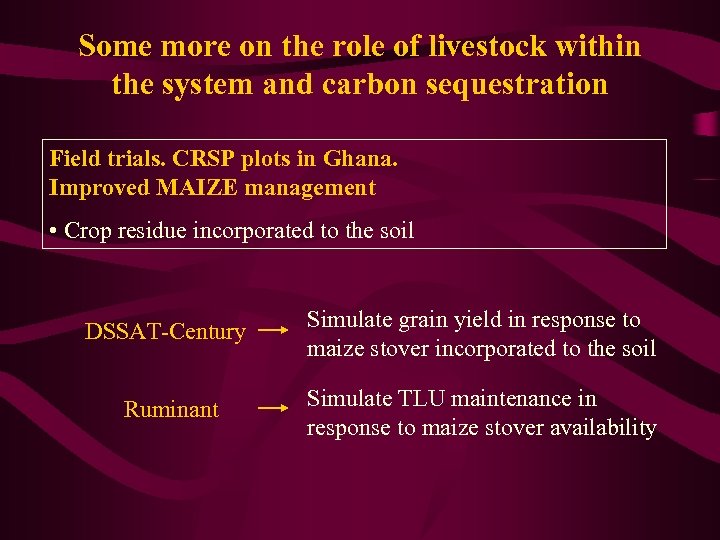 Some more on the role of livestock within the system and carbon sequestration Field