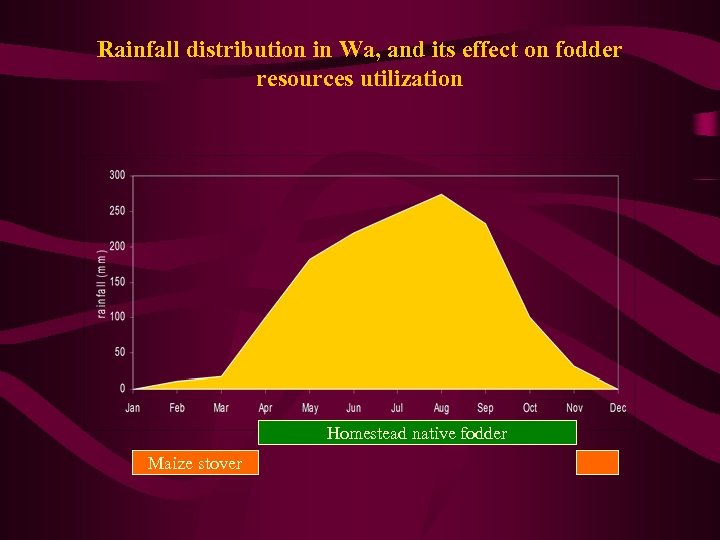 Rainfall distribution in Wa, and its effect on fodder resources utilization Homestead native fodder