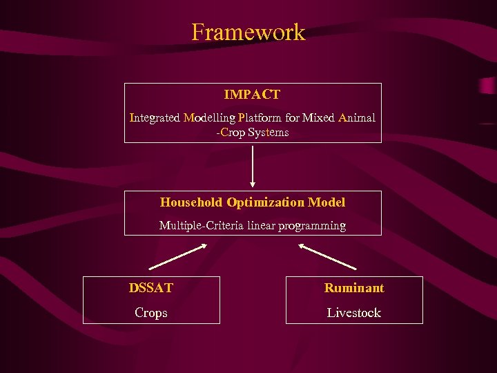 Framework IMPACT Integrated Modelling Platform for Mixed Animal -Crop Systems Household Optimization Model Multiple-Criteria