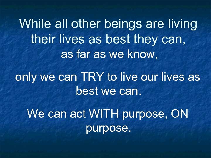 While all other beings are living their lives as best they can, as far