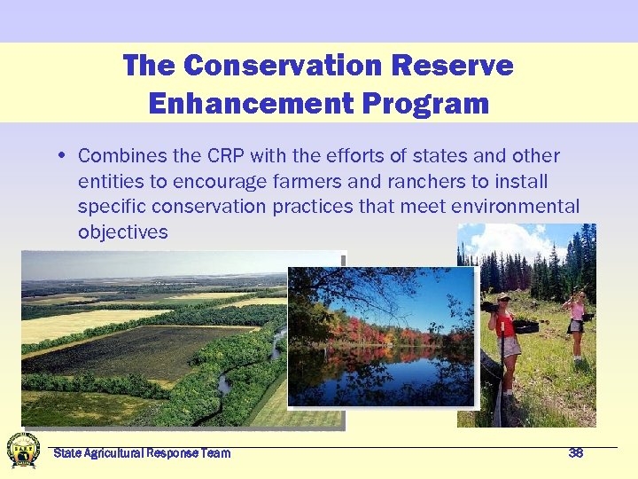 The Conservation Reserve Enhancement Program • Combines the CRP with the efforts of states