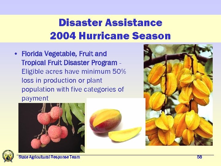 Disaster Assistance 2004 Hurricane Season • Florida Vegetable, Fruit and Tropical Fruit Disaster Program