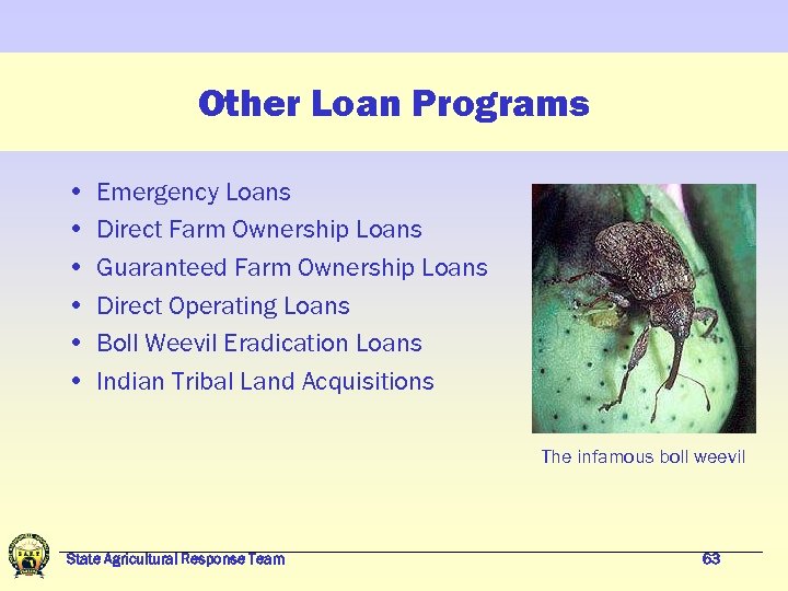 Other Loan Programs • • • Emergency Loans Direct Farm Ownership Loans Guaranteed Farm