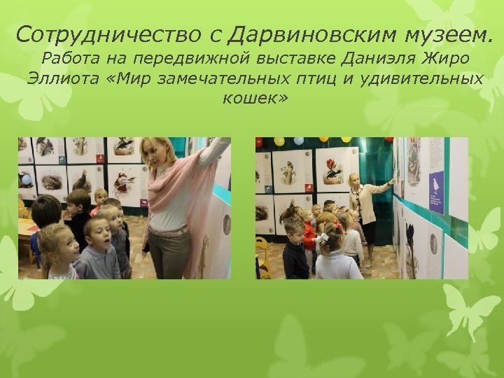 Сотрудничество с Дарвиновским музеем. Работа на передвижной выставке Даниэля Жиро Эллиота «Мир замечательных птиц