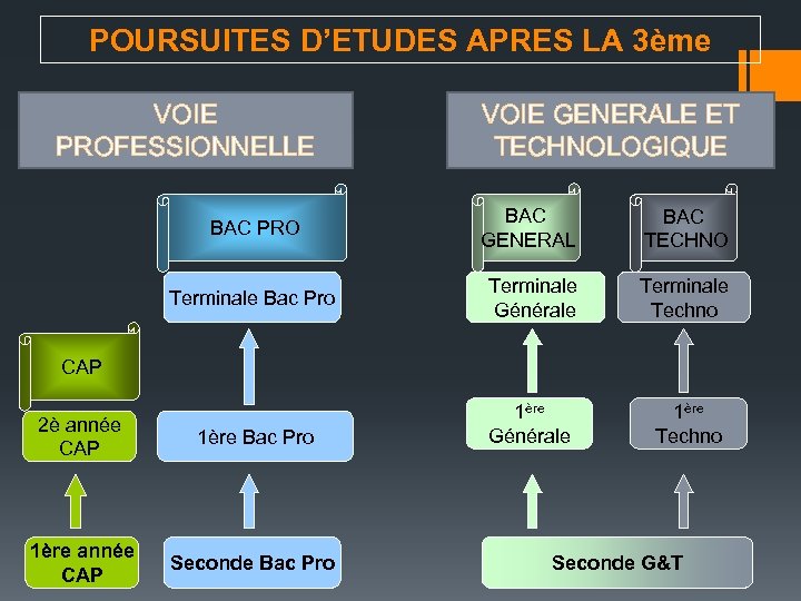 POURSUITES D’ETUDES APRES LA 3ème VOIE PROFESSIONNELLE VOIE GENERALE ET TECHNOLOGIQUE BAC PRO BAC