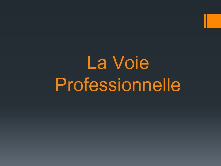 La Voie Professionnelle 