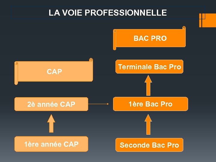 LA VOIE PROFESSIONNELLE BAC PRO CAP Terminale Bac Pro 2è année CAP 1ère Bac