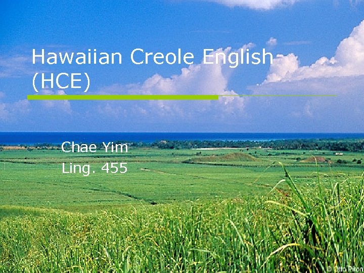 Hawaiian Creole English (HCE) Chae Yim Ling. 455 