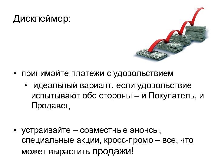 Дисклеймер: • принимайте платежи с удовольствием • идеальный вариант, если удовольствие испытывают обе стороны