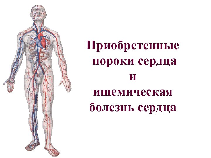 Приобретенные пороки сердца и ишемическая болезнь сердца 