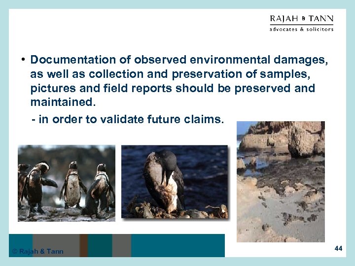  • Documentation of observed environmental damages, as well as collection and preservation of