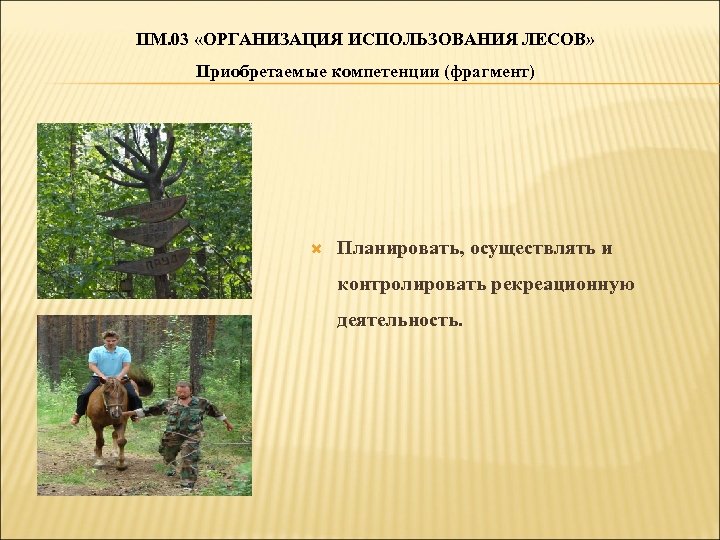 ПМ. 03 «ОРГАНИЗАЦИЯ ИСПОЛЬЗОВАНИЯ ЛЕСОВ» Приобретаемые компетенции (фрагмент) Планировать, осуществлять и контролировать рекреационную деятельность.