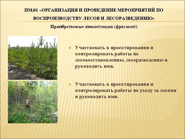 ПМ. 01 «ОРГАНИЗАЦИЯ И ПРОВЕДЕНИЕ МЕРОПРИЯТИЙ ПО ВОСПРОИЗВОДСТВУ ЛЕСОВ И ЛЕСОРАЗВЕДЕНИЮ» Приобретаемые компетенции (фрагмент)