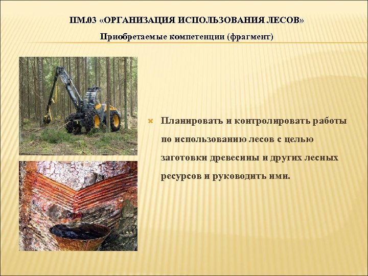 ПМ. 03 «ОРГАНИЗАЦИЯ ИСПОЛЬЗОВАНИЯ ЛЕСОВ» Приобретаемые компетенции (фрагмент) Планировать и контролировать работы по использованию