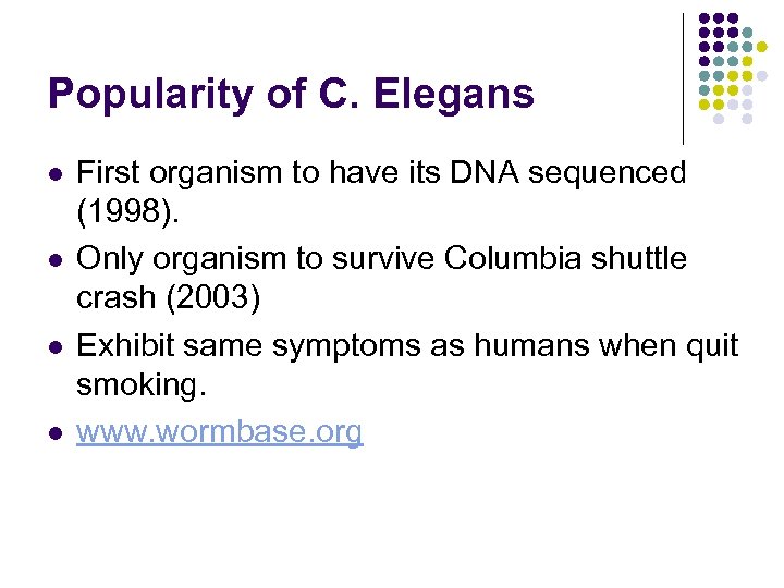 Popularity of C. Elegans l l First organism to have its DNA sequenced (1998).