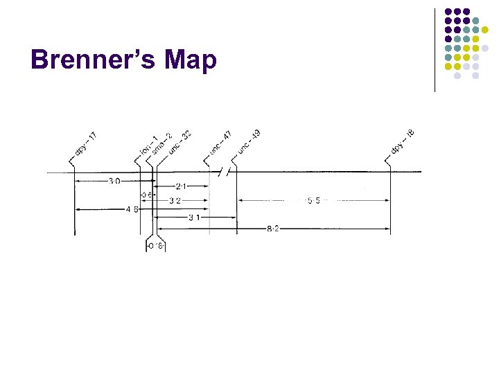 Brenner’s Map 