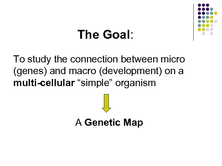 The Goal: To study the connection between micro (genes) and macro (development) on a