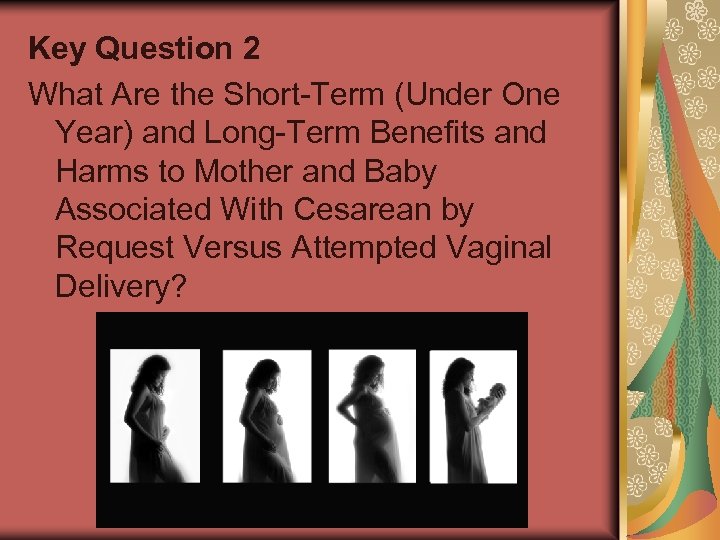 Key Question 2 What Are the Short-Term (Under One Year) and Long-Term Benefits and