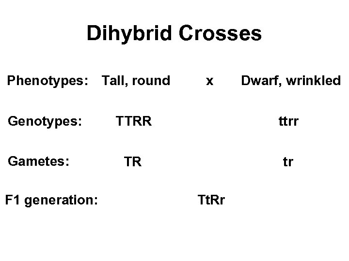 Dihybrid Crosses Phenotypes: Tall, round Genotypes: Gametes: F 1 generation: x Dwarf, wrinkled TTRR