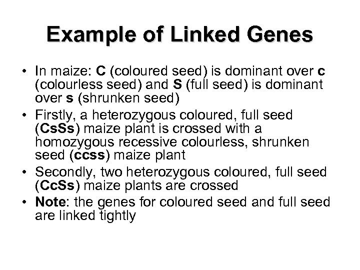 Example of Linked Genes • In maize: C (coloured seed) is dominant over c