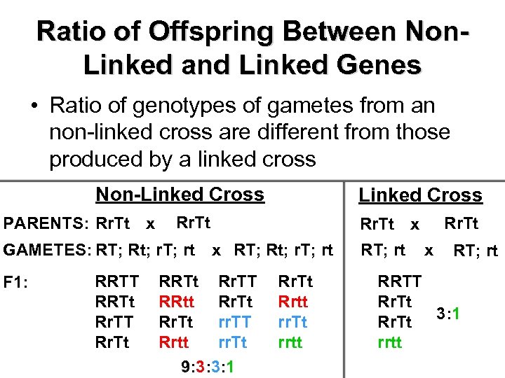 Ratio of Offspring Between Non. Linked and Linked Genes • Ratio of genotypes of
